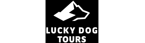 logo2